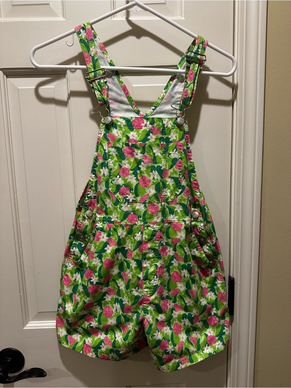 Lilly Pulitzer Green and Pink Floral Overall Dress